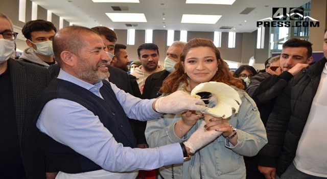 İpekyolu Kariyer Günleri’ne Alpedo Kervan Lezzet Grubu Damgası