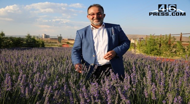 Lavanta’yı Kahramanmaraş'a Getiren Başkan: Mehmet Fatih Güven!