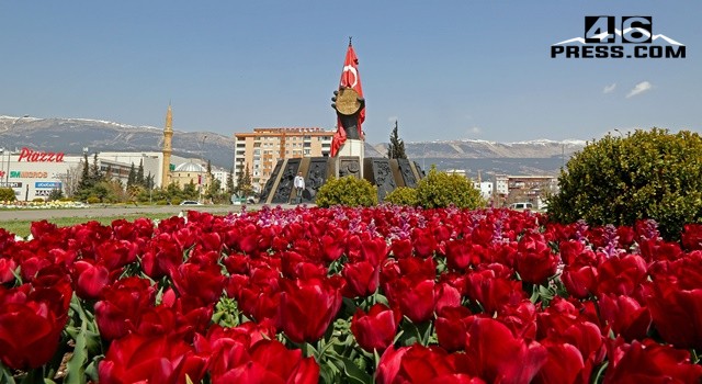 Şehir Çiçeklerle Renklendi