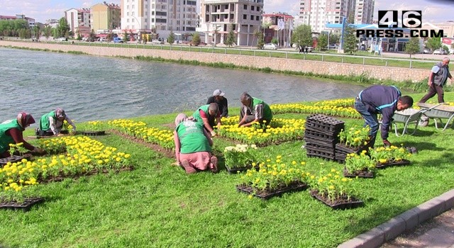 Elbistan Çiçeklerle Donatılıyor