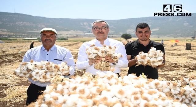 Başkan Güngör: “Tarım Ürünleri Üretiminde Potansiyelimiz Çok Yüksek”