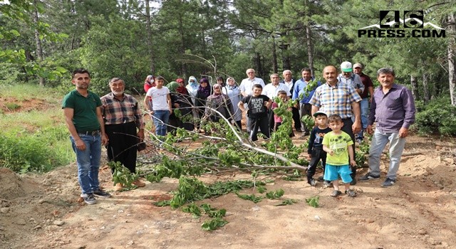 Kahramanmaraş’ta Orman Yolu Mahalleyi Karıştırdı