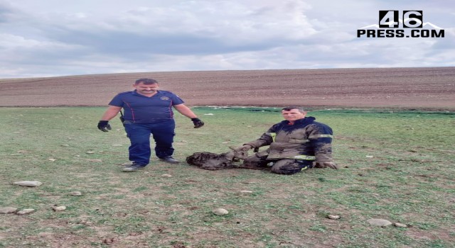 Bataklığa Saplanan Zavallı Keçiye İtfaiyenin Şefkat Eli Uzandı