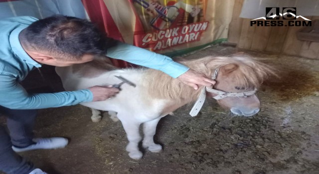 Dulkadiroğlu Mini Hayvanat Bahçesinde Bakım Çalışması Yapıldı