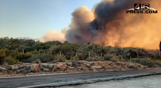 Kahraman İtfaiyeciler Mersin’deki Yangına Tüm Gece Müdahale Etti