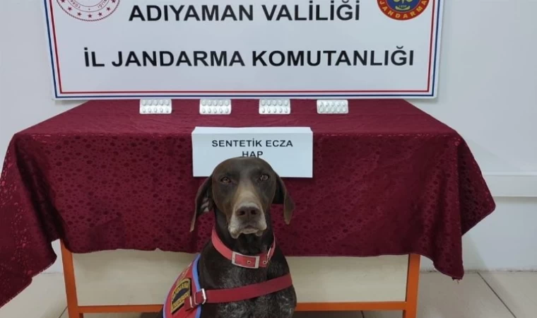 Adıyaman’da narkotiğin hassas burnu Leydi yakaladı!