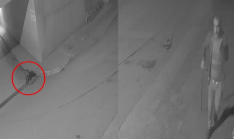 Bursa Gemlik’te mazgal hırsızları kameraya yakalandı