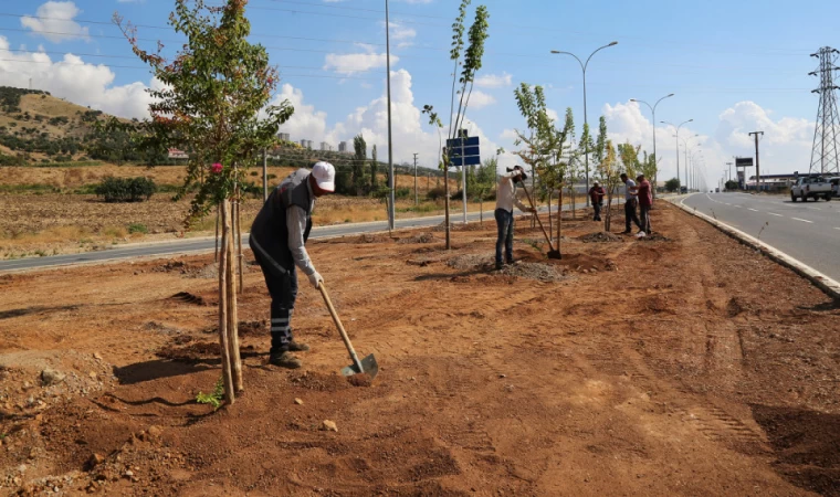 Büyükşehir 10 Bin Ağacı Toprakla Buluşturdu
