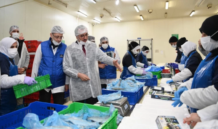 Başkan Güngör; “Balık Üretiminde Öncü Şehiriz”