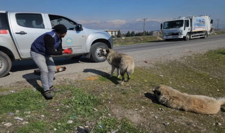 Manisa Kahramanmaraş’ta da can dostlarını unutmadı