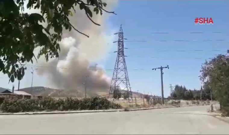 Kahramanmaraş'ta orman yangını