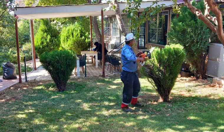 Büyükşehir, Yeşil Alanları Bakıma Aldı