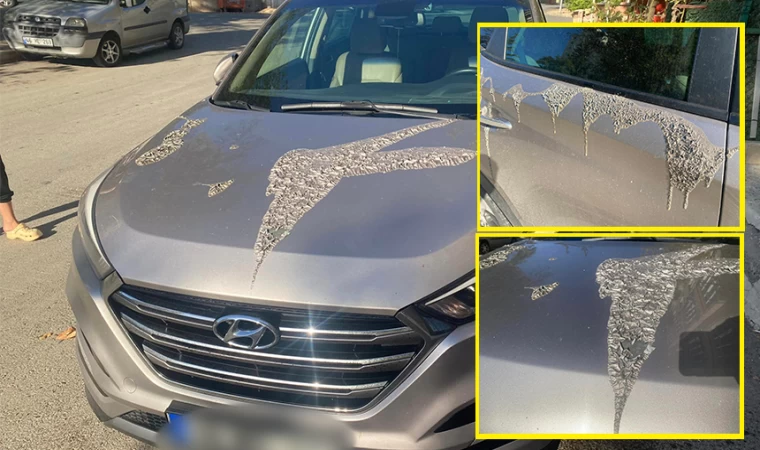 Gazeteci Mesut Tuğrul’un otomobiline asitli saldırı!