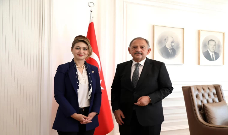 “Orta Hasarlar İçin Son Umut.”