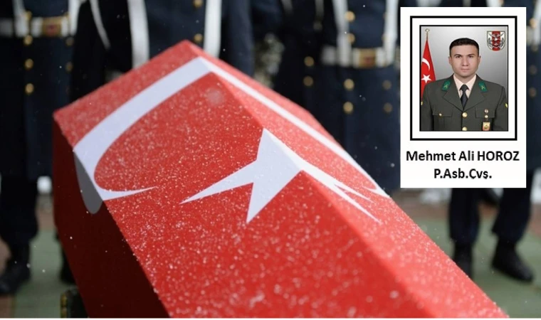 Kahramanmaraşlı Mehmet Ali Horoz Şehit Düştü!