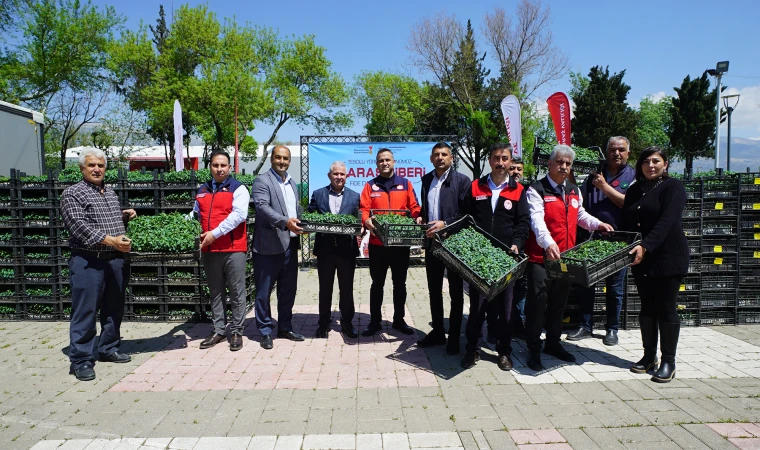 Büyükşehir’den Üreticiye 650 Bin Hibe Biber Fidesi