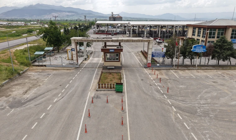 Canlı Hayvan Borsası Kurban Bayramı’na Hazır; Kurbanlık Satışları Başlıyor