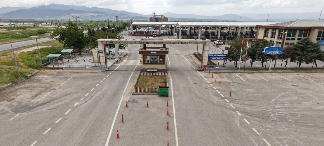 Canlı Hayvan Borsası Kurban Bayramı’na Hazır; Kurbanlık Satışları Başlıyor
