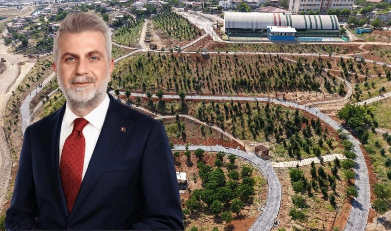 Büyükşehir’in ‘Yeşil Dönüşüm’ Hamlesi Karbon Yutak Alanı’nda Çalışmalar Sürüyor