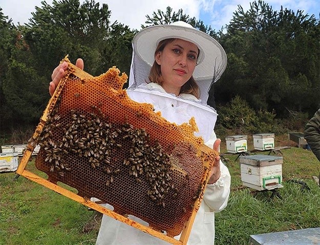 Gölbaşı’nda Arıcılık Mesleği Yaşatılacak