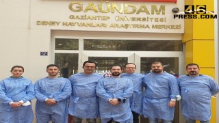 Deney Hayvanları Kullanım Sertifikası Eğitim Programı Kursu