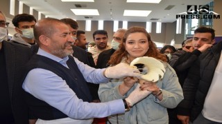 İpekyolu Kariyer Günleri’ne Alpedo Kervan Lezzet Grubu Damgası