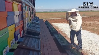 Türkiye'nin İlk Arı Evi Afşin'de Açıldı