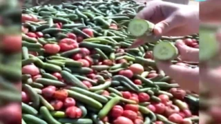 Antalya’da çöpe dökülen görüntüler tepki çekmişti... Soruşturma başlatıldı!