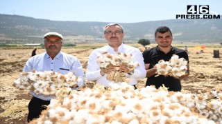 Başkan Güngör: “Tarım Ürünleri Üretiminde Potansiyelimiz Çok Yüksek”