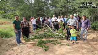 Kahramanmaraş’ta Orman Yolu Mahalleyi Karıştırdı
