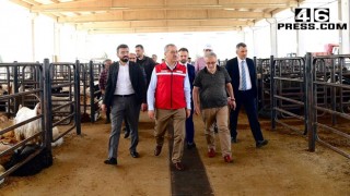 Başkan Güngör; “Bayramımız Mübarek Olsun”