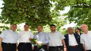 Başkan Güngör; “Çiğşar Kirazı’nın Marka Değerini Artıracağız”