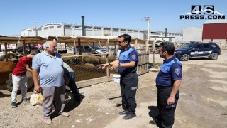 Zabıta Ekiplerinden Kurban Satış Yerlerinde Denetim