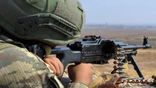 Hainlere geçit yok
