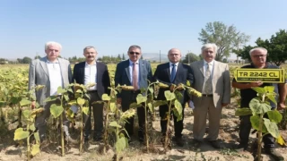 Pamukkale Üniversitesi eğitirken üretip, para kazanıyor