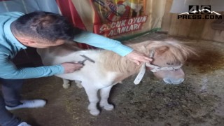 Dulkadiroğlu Mini Hayvanat Bahçesinde Bakım Çalışması Yapıldı