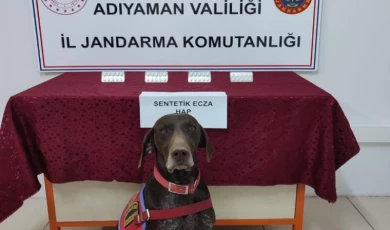 Adıyaman’da narkotiğin hassas burnu Leydi yakaladı!