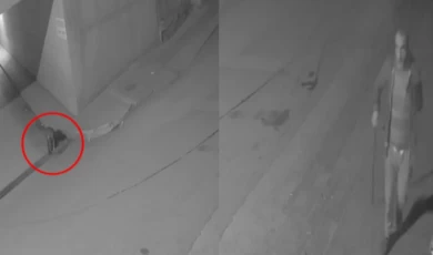 Bursa Gemlik’te mazgal hırsızları kameraya yakalandı