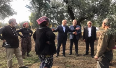 İYİ Partili Tatlıoğlu Bursa’da zeytin üreticilerine ses oldu