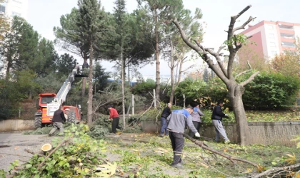 Dulkadiroğlu’nda Park ve Bahçeler Kışa Hazırlanıyor