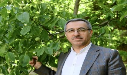 Kahramanmaraş’ın AB Tescilli İlk Ürünü; Çağlayancerit Cevizi