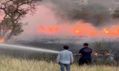 Kahramanmaraş’ta izmarit yangını korkuttu 