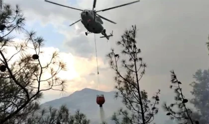 Kahramanmaraş’ta orman yangını  