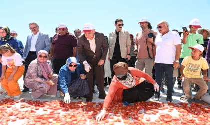 Başkan Güngör; “Tarım Ürünlerimizin İhracattaki Payı Artıyor”