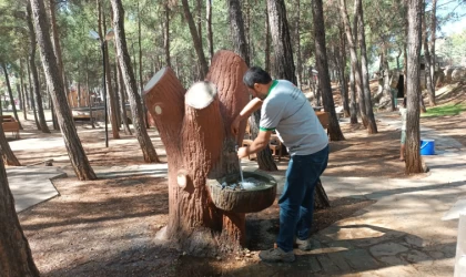 Büyükşehir, Yeşil Alanların Bakım ve Onarımını Sürdürüyor