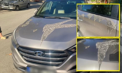 Gazeteci Mesut Tuğrul’un otomobiline asitli saldırı!