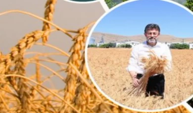 Üretici çiftçiye 11,2 milyar TL’lik destek