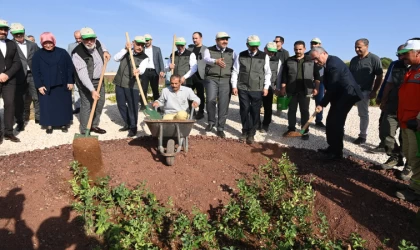 Milli Ağaçlandırma Günü’nde Binlerce Fidan Toprakla Buluşturuldu