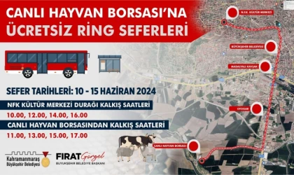 Canlı Hayvan Borsası’na Ücretsiz Ring Seferleri Başladı!