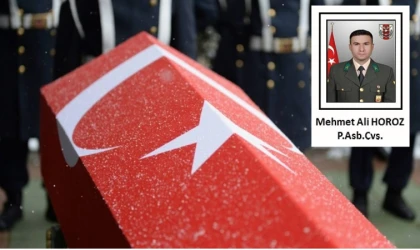 Kahramanmaraşlı Mehmet Ali Horoz Şehit Düştü!